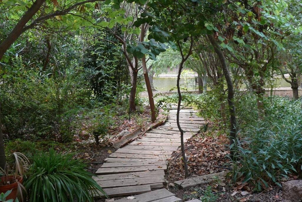 Casa En El Campo Con Encanto アルマンサ エクステリア 写真