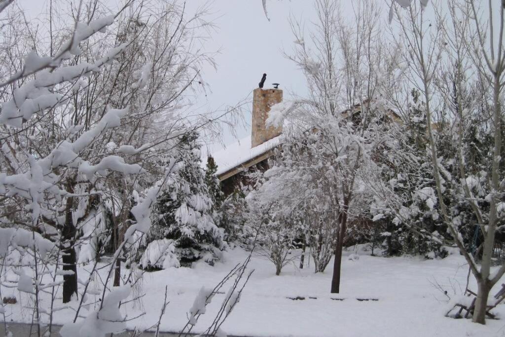 Casa En El Campo Con Encanto アルマンサ エクステリア 写真