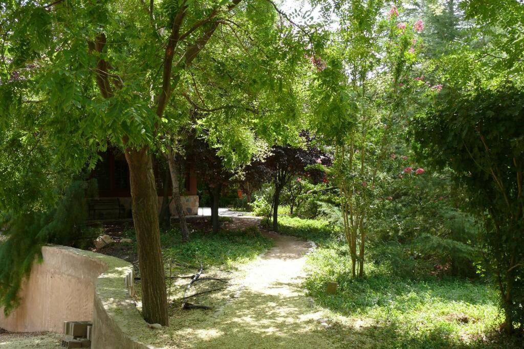 Casa En El Campo Con Encanto アルマンサ エクステリア 写真
