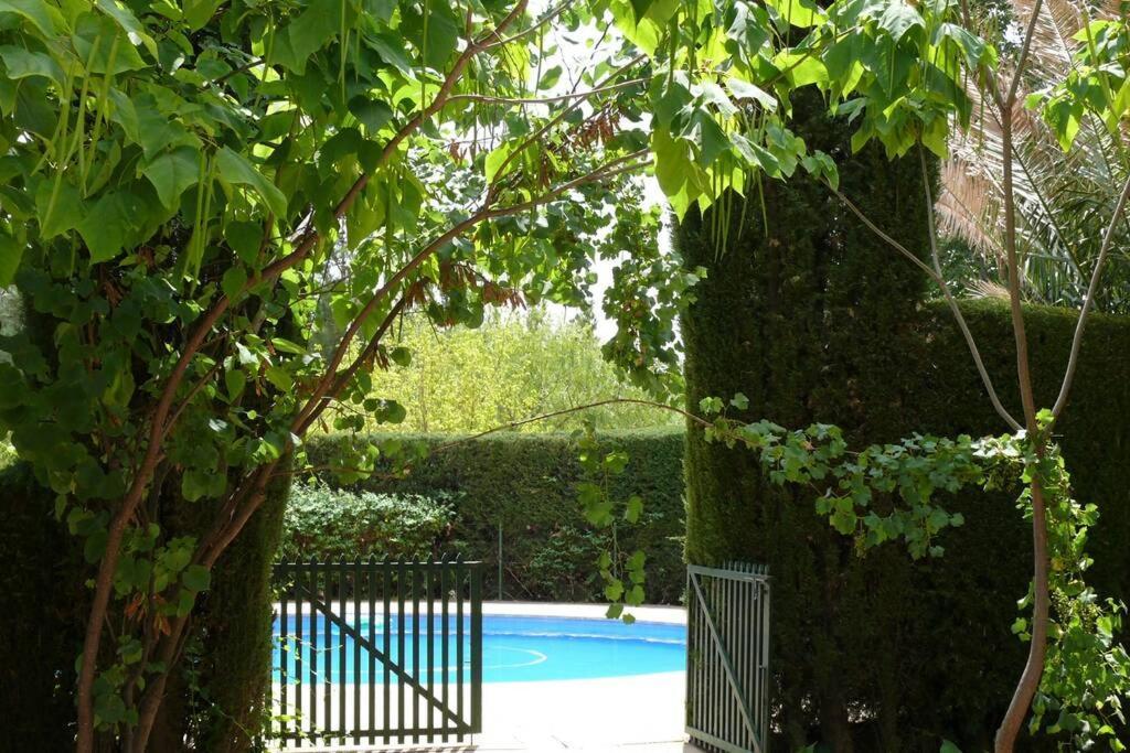 Casa En El Campo Con Encanto アルマンサ エクステリア 写真